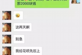 郴州企业清欠服务